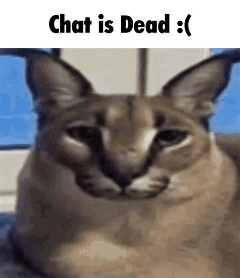 Whether you want to stay connected with your loved ones, collaborate with colleagues or meet new people, there are. . Dead chat gif